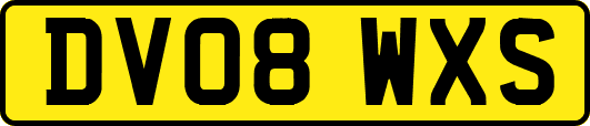 DV08WXS