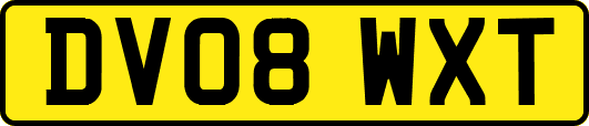 DV08WXT