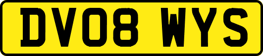 DV08WYS