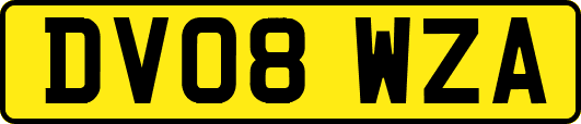 DV08WZA