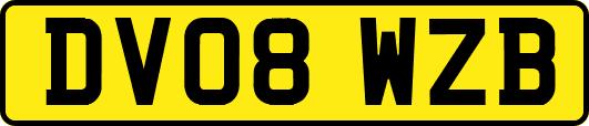 DV08WZB