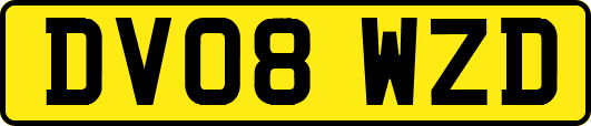 DV08WZD