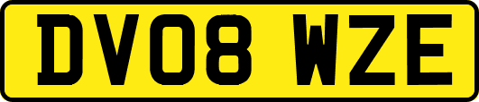 DV08WZE