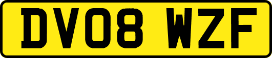DV08WZF