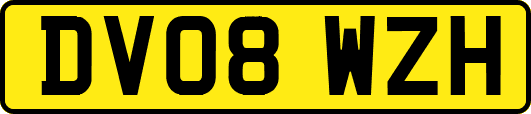 DV08WZH