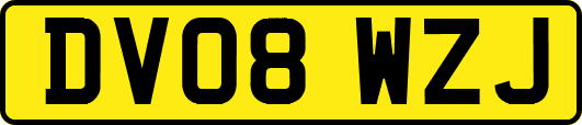 DV08WZJ