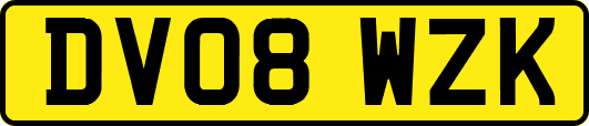 DV08WZK