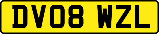 DV08WZL