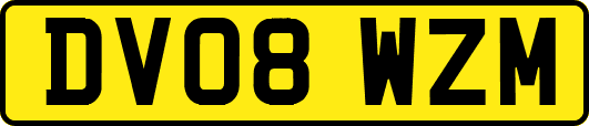 DV08WZM