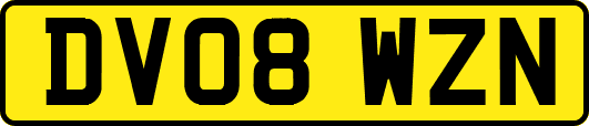 DV08WZN