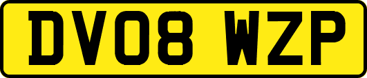 DV08WZP