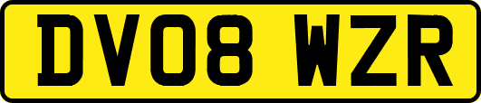 DV08WZR
