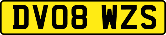 DV08WZS