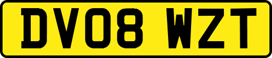 DV08WZT