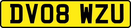 DV08WZU