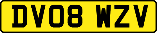 DV08WZV