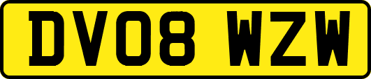DV08WZW