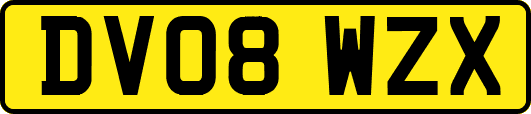 DV08WZX