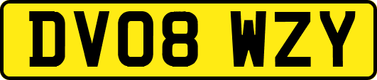 DV08WZY