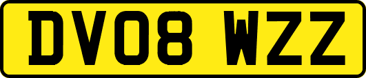 DV08WZZ
