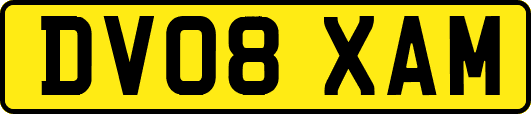 DV08XAM