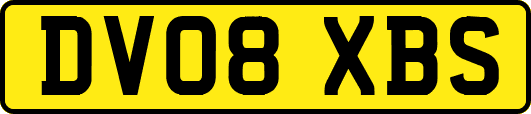 DV08XBS