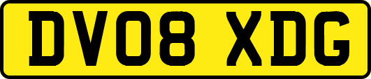 DV08XDG