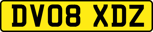 DV08XDZ
