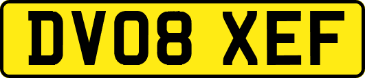 DV08XEF