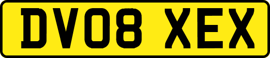 DV08XEX