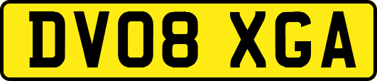 DV08XGA