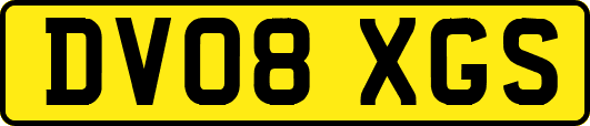 DV08XGS