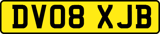 DV08XJB