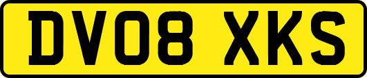 DV08XKS