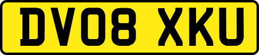 DV08XKU