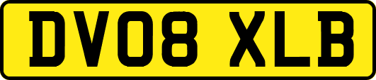 DV08XLB