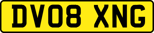 DV08XNG