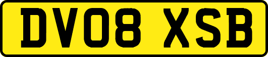 DV08XSB