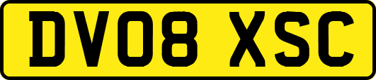 DV08XSC