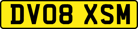 DV08XSM