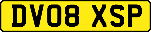DV08XSP