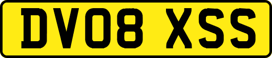 DV08XSS
