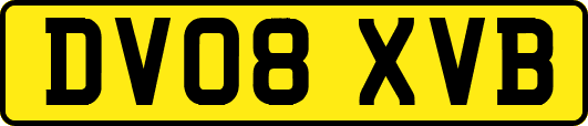 DV08XVB