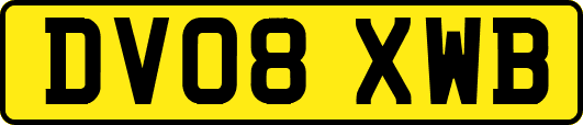 DV08XWB