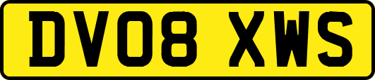 DV08XWS
