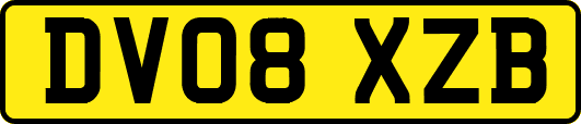 DV08XZB