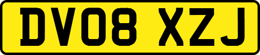 DV08XZJ