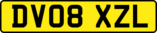 DV08XZL