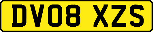DV08XZS
