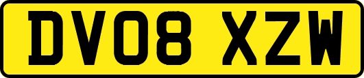 DV08XZW